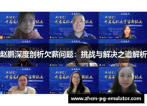 赵鹏深度剖析欠薪问题：挑战与解决之道解析