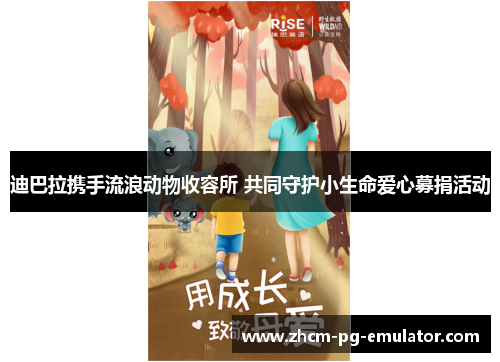 迪巴拉携手流浪动物收容所 共同守护小生命爱心募捐活动