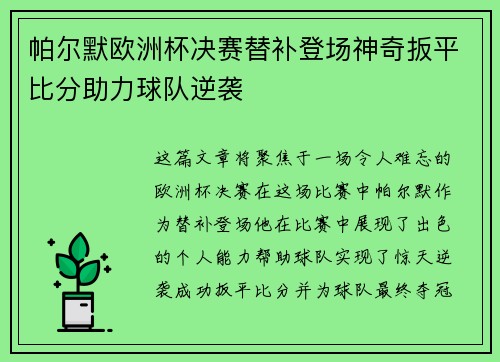 帕尔默欧洲杯决赛替补登场神奇扳平比分助力球队逆袭