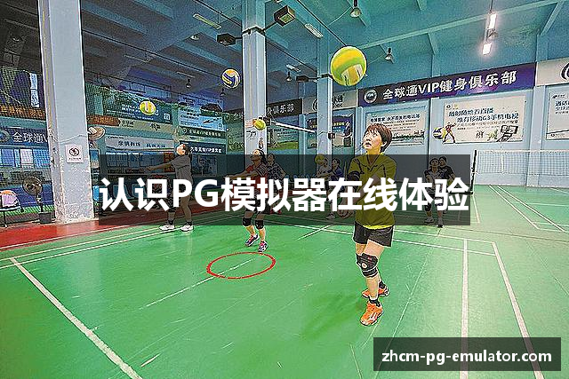 认识PG模拟器在线体验